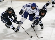 PG电子官网-梁靖崑关键制胜，奥地利队横扫波兰队展现团队唯一性