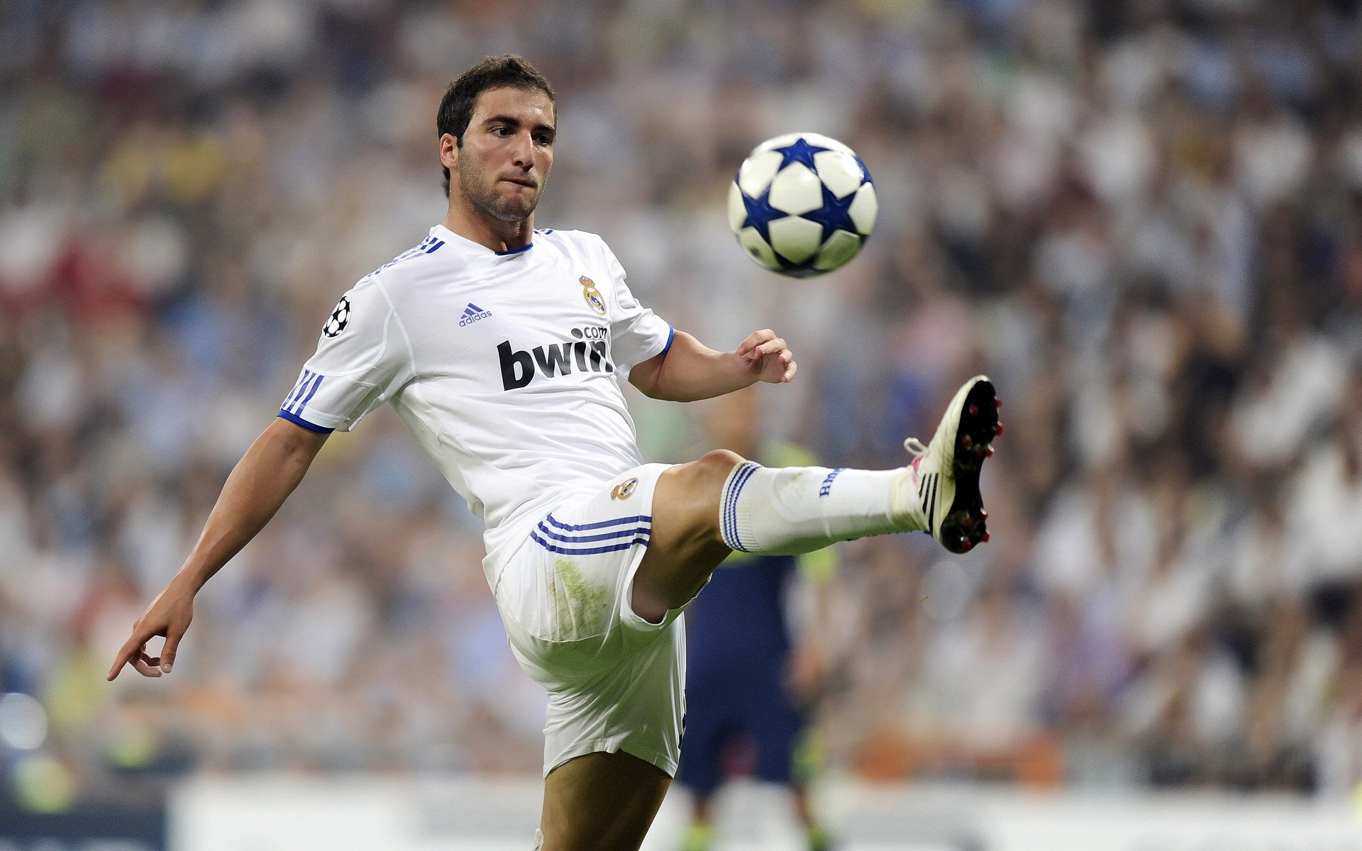 猛龙单节狂飙拉开开拓者，库里末节封神诠释关键先生