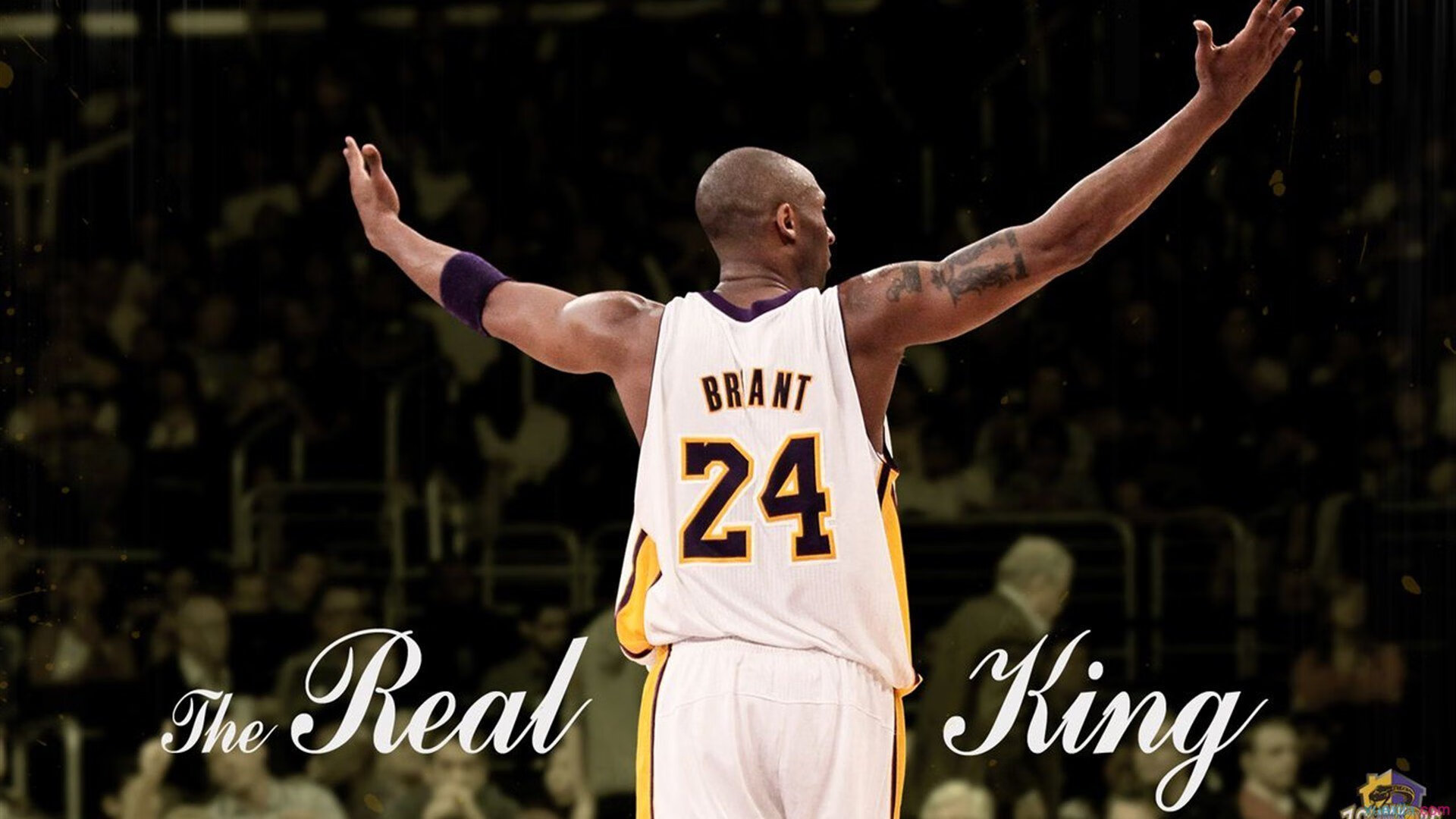 米切尔赛后评分拉满背后,老鹰完胜广东,一场战术与意志的双重胜利